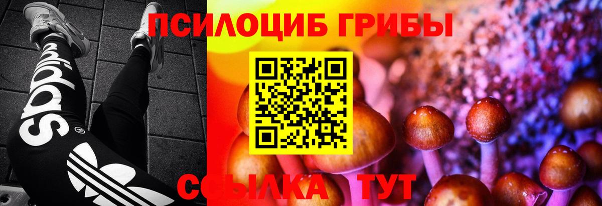 Галлюциногенные грибы мицелий  Галлюциногенные грибы мухоморы  Баксан  Вход с VPN 